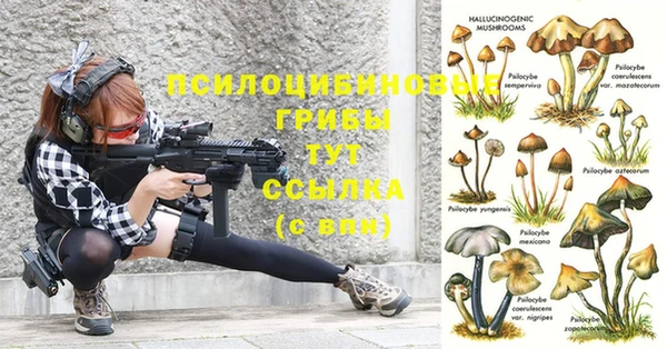 а пвп мука Аркадак