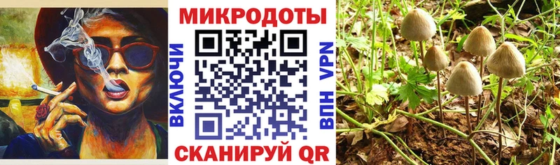 Галлюциногенные грибы мухоморы  hydra онион  Саянск 